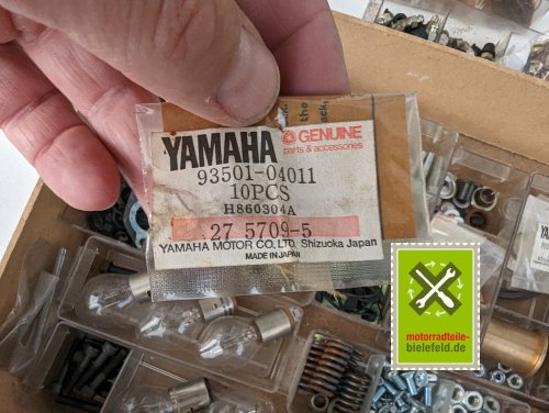 PXL_20240528_170520747